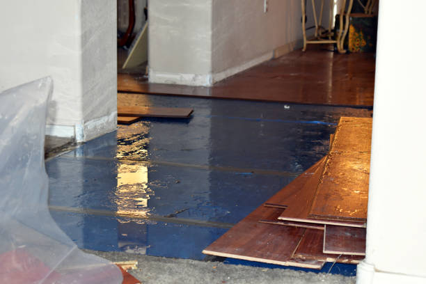 Professional Basement Flood Cleanup technician working in Caruthers, CA
